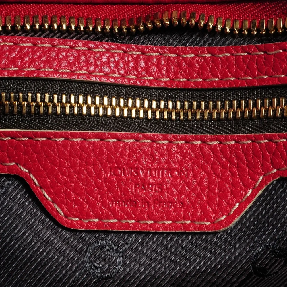 Louis Vuitton carryall